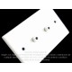 Placa Tapa Jack Audio 3.5 mm doble en ABS