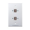 Placa Tapa doble USB 2.0 en ABS