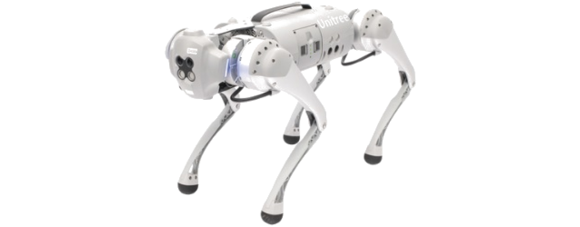 Robots Biónicos