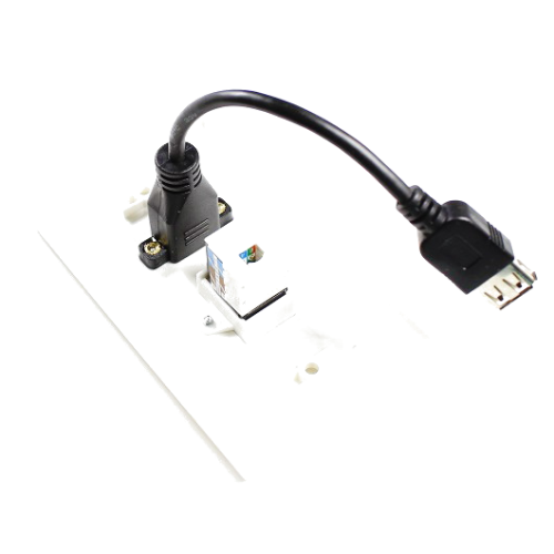 Placa Tapa USB 2.0 pigtail + Jack RJ45 Cat6 en ABS