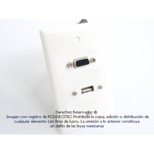 Placa Tapa VGA + USB 2.0 pigtail en ABS