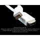 Adaptador Mini DVI a HDMI Adaptador Mini DVI a HDMI