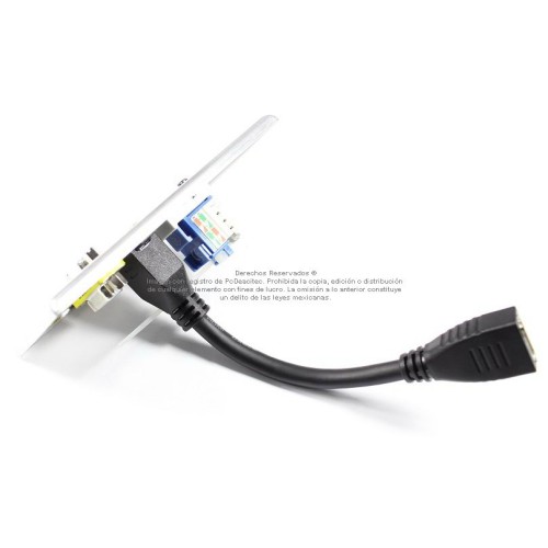 Placa Tapa VGA + HDMI 4k pigtail + Jack RJ45 Cat6 ponchable en Aluminio