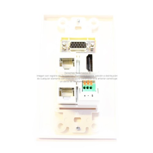 Placa Tapa Decora VGA + HDMI 4k + Audio Jack 3.5 mm con opresores + 2 Cat5e cople en ABS